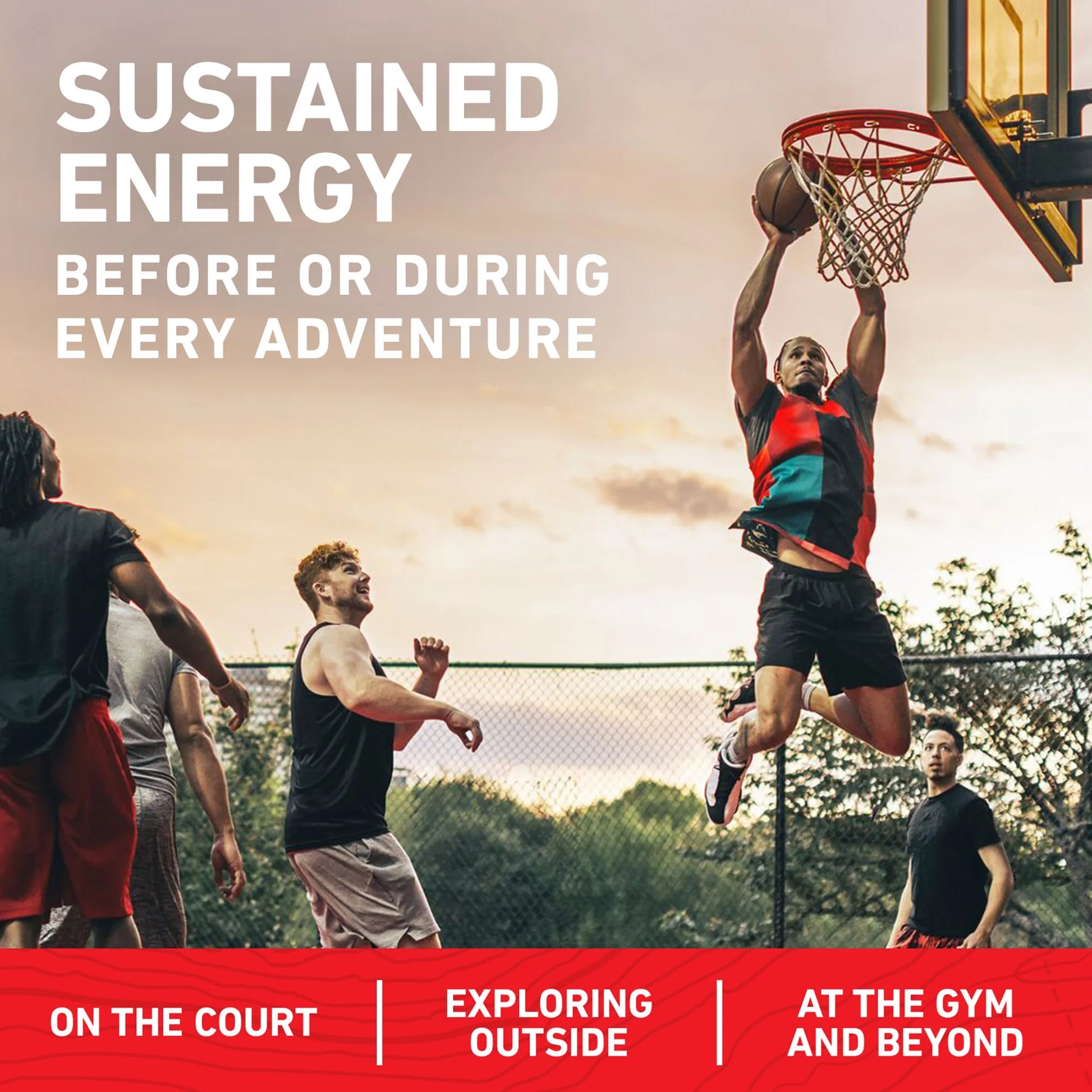 Energy Protein Bars, Chocolate Chip, 5Ct